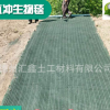 厂家直销抗冲生物毯 河道边坡防护生态治理绿化毯 生态草毯