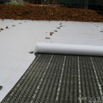 蓄排水板 供应安阳殷都区 厂家直供 建筑夹层塑料板 蓄排水板