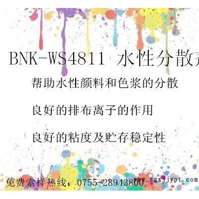 BNK-WS4811 水性分散剂