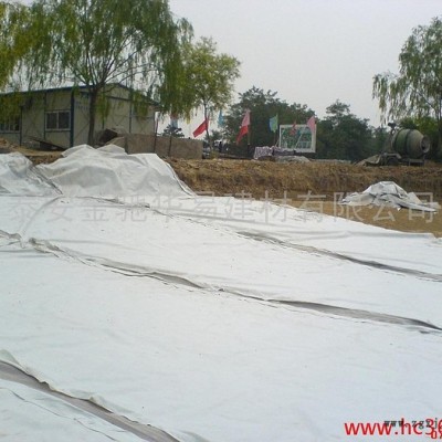 北京地区土工膜金驰HDPE土工膜渣场土工膜渣场防渗膜HDPE土工膜