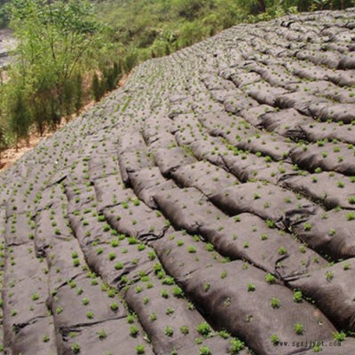 森泰生态袋 植生带 pp生态袋 生态袋厂家