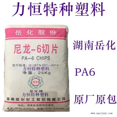 PA6材料 帝斯曼 1010C2 注塑级 透明 耐温65度 PA6代理 PA6厂家