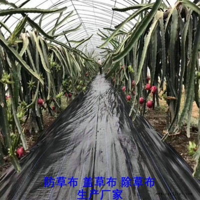 海南PP防草布,果园除草布_盖草布_抑制杂草生长地布,透气_透水_防虫害