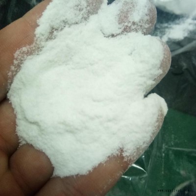 鞋材增硬用高纯度PET粉 60目纯正白色粉末