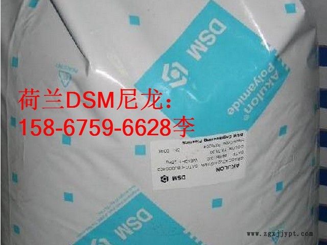 荷兰DSM-2