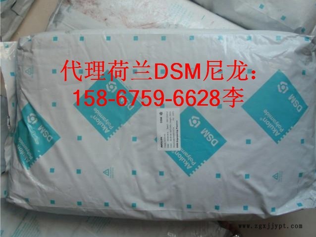 荷兰DSM-4