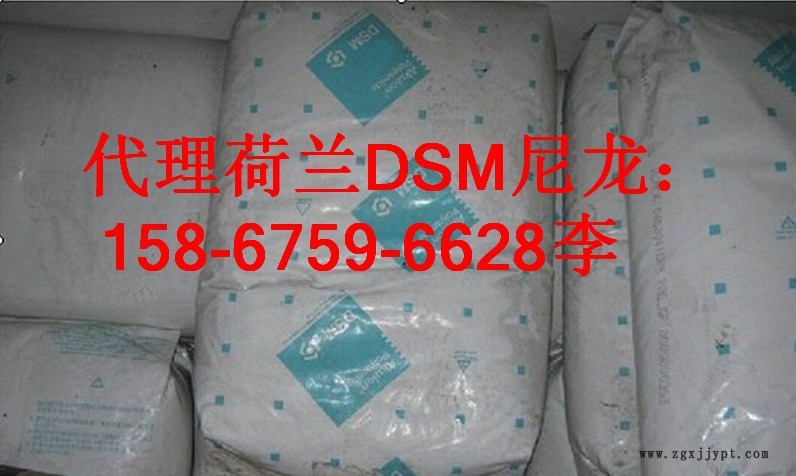 荷兰DSM-5