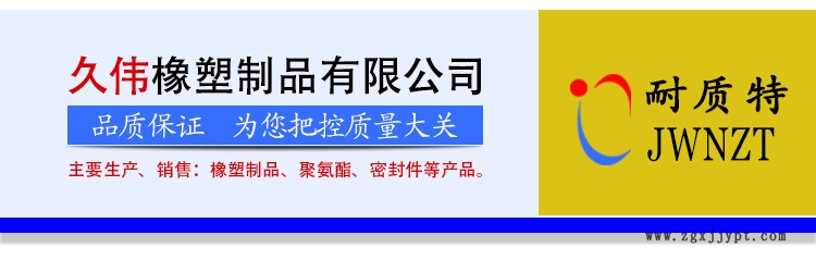 厂家直销 骨架防尘系列密封 防尘密封圈 优质骨架防尘油封示例图1