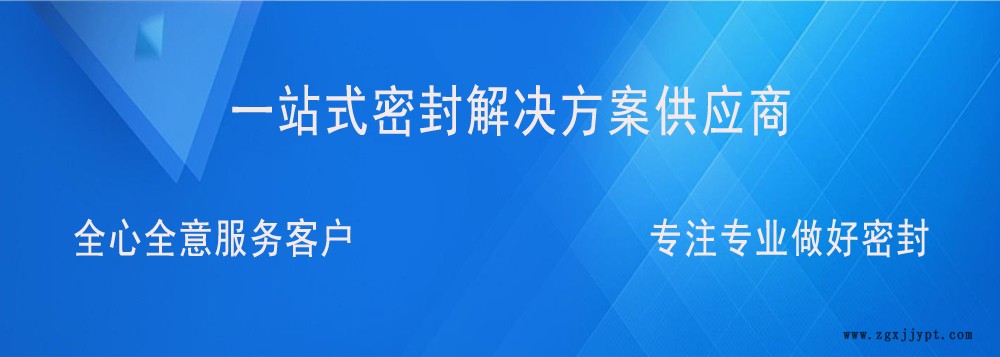 ANDA安达压电阀点胶机密封圈 AXXON轴心GK高凯压电喷射阀密封示例图1