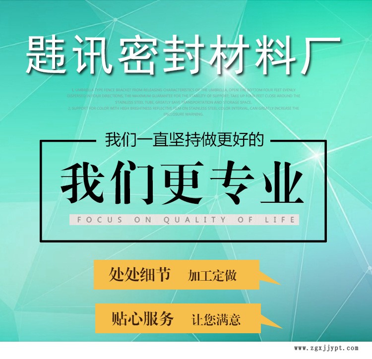 大城县厂家直销定制生产 聚乙烯四氟垫片 F4垫片 法兰垫片 PTFE垫示例图1