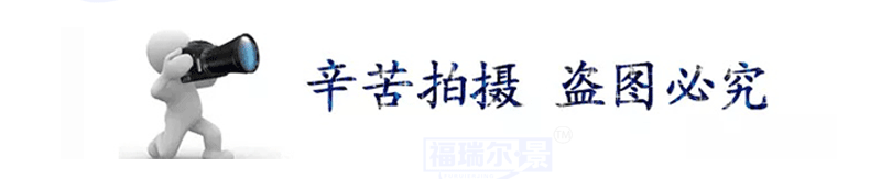 福瑞尔专业批发尼龙塑料挤出螺杆 塑料尼龙配件 螺杆加工定做示例图3