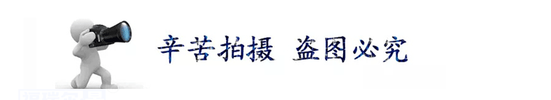 福润尔直销订做 尼龙轴套 尼龙管套 PA6轴套 MC增强尼龙轴套批发示例图3