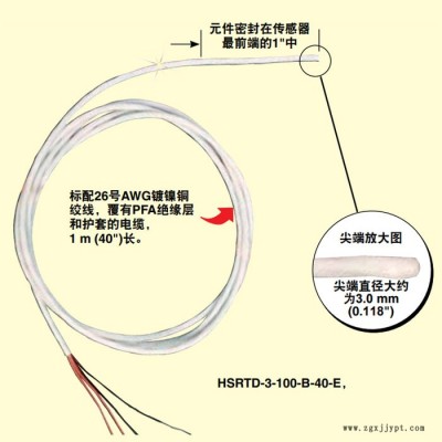 OMEGA/欧米伽 柔韧的密封PFA RTD传感器 抗潮气和腐蚀密封 HSRTD-3-100-A-40-E