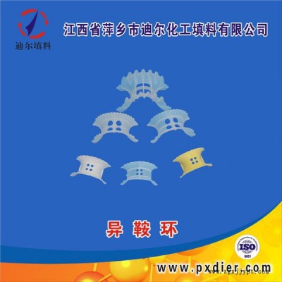 迪尔PP/PVC/CPVC/PVDF/PFA 矩鞍环**聚丙烯矩鞍环、塑料散堆矩鞍环、PCDF矩鞍环、专业生产图2