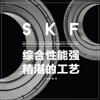 瑞典SKF轴承 KRV 30 PPA厂家