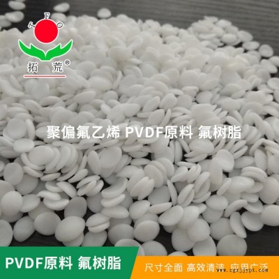 上海厂家直供pvdf原料