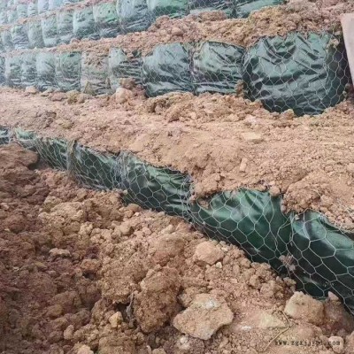 安平富海厂家 生态固袋护坡 土工膜袋山体护坡 PET抗冲植生袋
