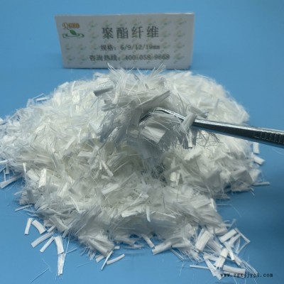PET -聚酯纤维 耐高温耐腐蚀水泥防裂纤维