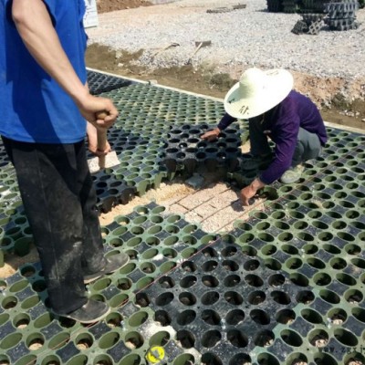 中石易道 植草地坪施工 植草地坪模具  透水地坪 高承载植草地坪 植草地坪模具出租 模具出租出售图3