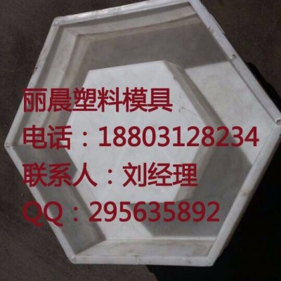 鑫丽晨模具制造高铁护坡模具