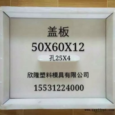 清苑欣隆 连锁护坡塑料模具厂 连锁护坡塑料模具报价 连锁护坡塑料模具图2