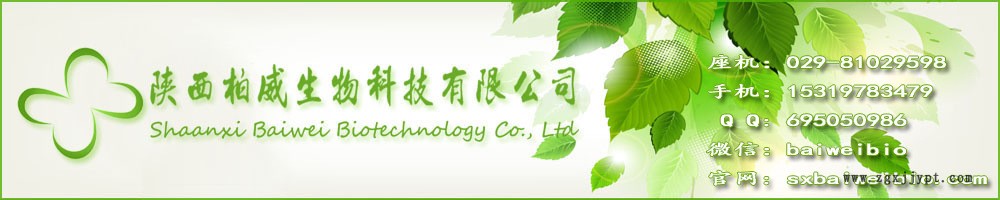 茶皂素 85% 表面活性剂 发泡剂 欢迎咨询 量大优惠 工厂现货批发示例图1