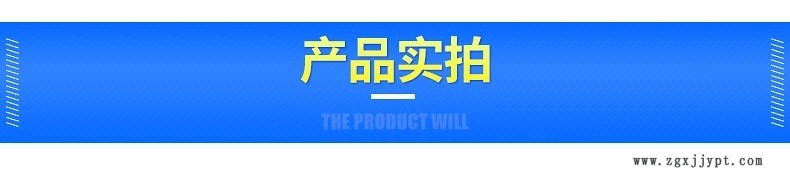 半自动双头液体灌装机 洗衣液灌装机 清洗剂定量分装灌装设备示例图3