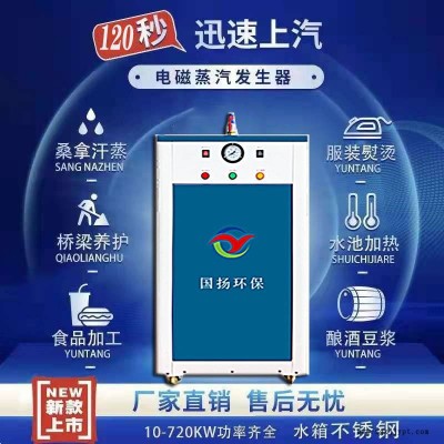 性能高电加热设备 模温机用电加热蒸汽发生器 电热蒸汽锅炉 沧州国扬厂家 可按需定制