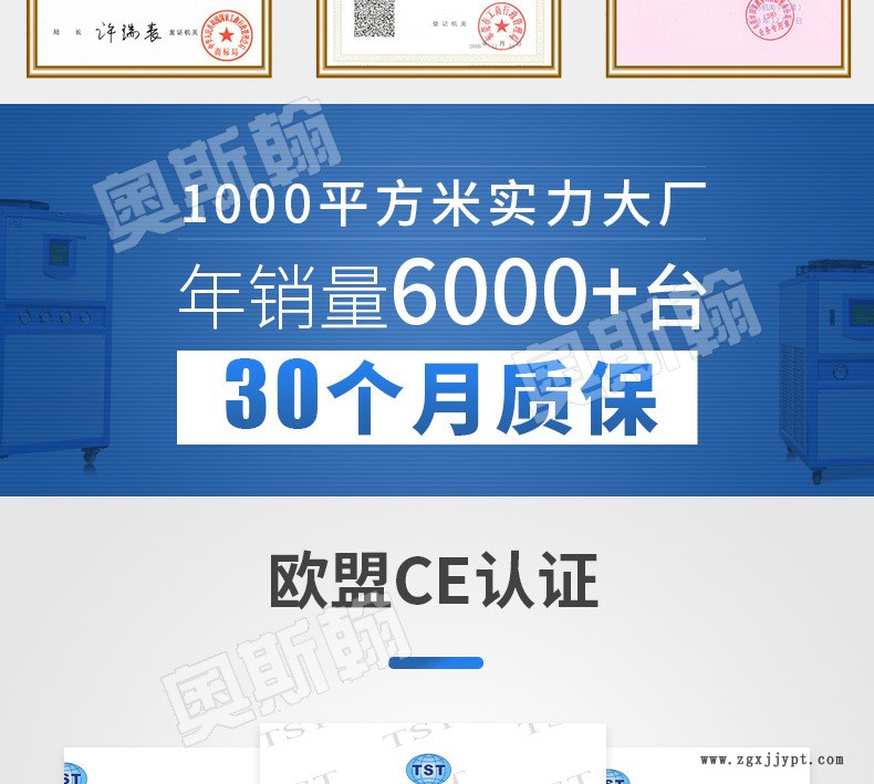 批发导热油模温机 12KW油温机 200°C塑胶模具恒温控制设备示例图2